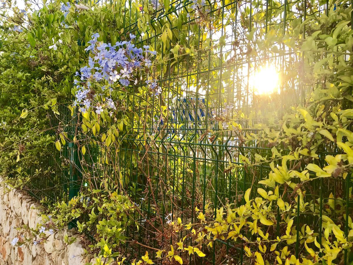 维拉摩拉Marina Garden By Ethnic Ocean公寓 外观 照片